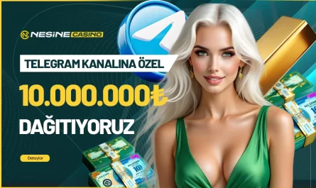 nesinecasino özel oranlar