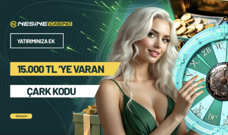 nesinecasino giriş sorunu