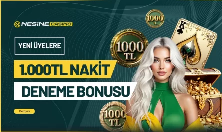 nesinecasino üye girişi